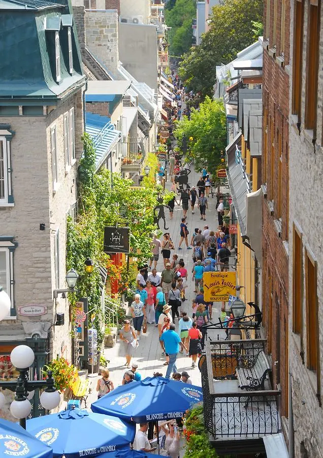 Auberge Jeunesse La Belle Planete Backpackers Hostel Québec